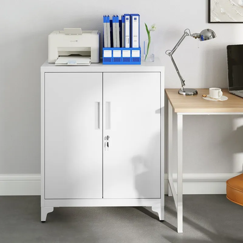 Kostenfreie Lieferung Aktenschrank, Mehrzweckschrank, Büroschrank mit 2 Türen