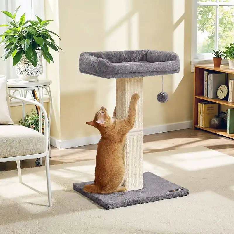 Letzte Chance Kratzbaum, Katzenbaum mit 40 x 30 cm Plattform aus Plüsch, Kratzstamm