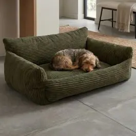 Kracherpreis Hundebett Punch - 85x66x29cm - Rippensamt - grün