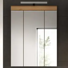 Kostenloser Versand Spiegelschrank Scout Xonox - Sage Grün & Artisan Eiche - 60x79x18 cm