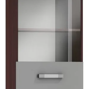 Hängevitrine Tabubil 11, Farbe: Wenge / Grau - Abmessungen: 113 x 50 x 30 cm (H x B x T) Finale Aktion