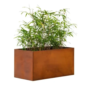 Blumenkasten Belo Groß aus Cortenstahl - Abmessung: 120 x 60 x 60 cm (B x T x H) Beliebt