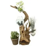 Zertifiziert Deko-Objekt DROP-TRIO ca. H100cm Teak Dekovase Blumenvase Unikat Baumwurzel Vase