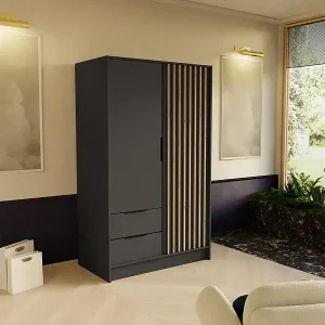 Kostenloser Versand DREHTÜRENSCHRANK Nero 100/51/200 cm mit Lamellen graphit